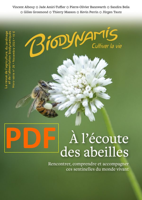 Couverture Biodynamis Hors-série n° 26 - À l’écoute des abeilles - Rencontrer, comprendre et accompagner ces sentinelles du monde vivant