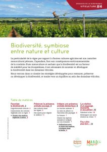 Dossier viticulture biodynamique