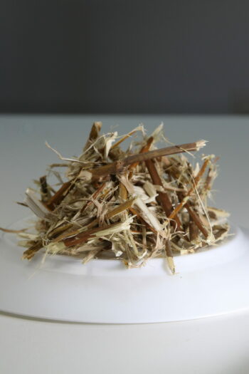 Osier biodynamique