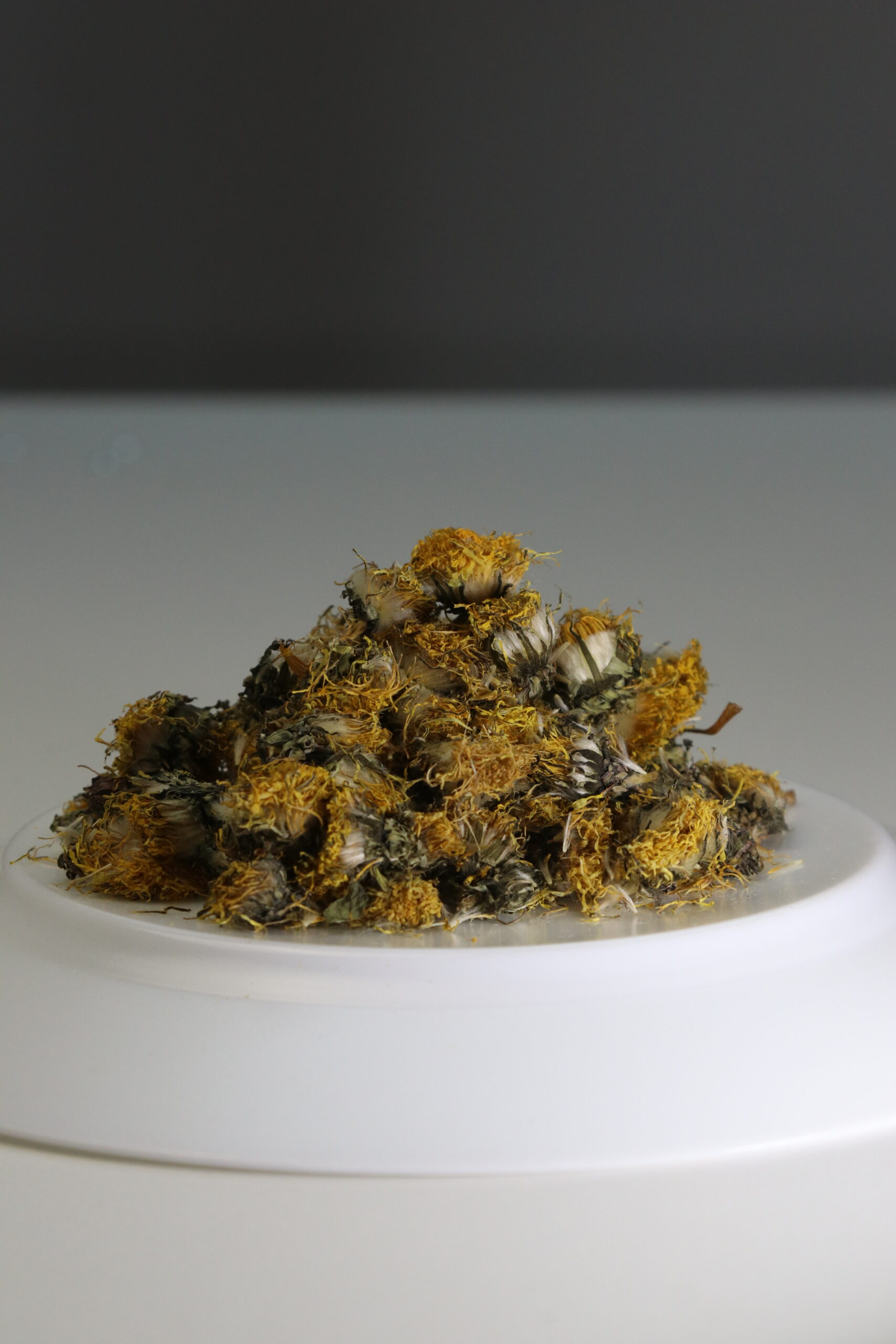Pissenlit - qualité biodynamique