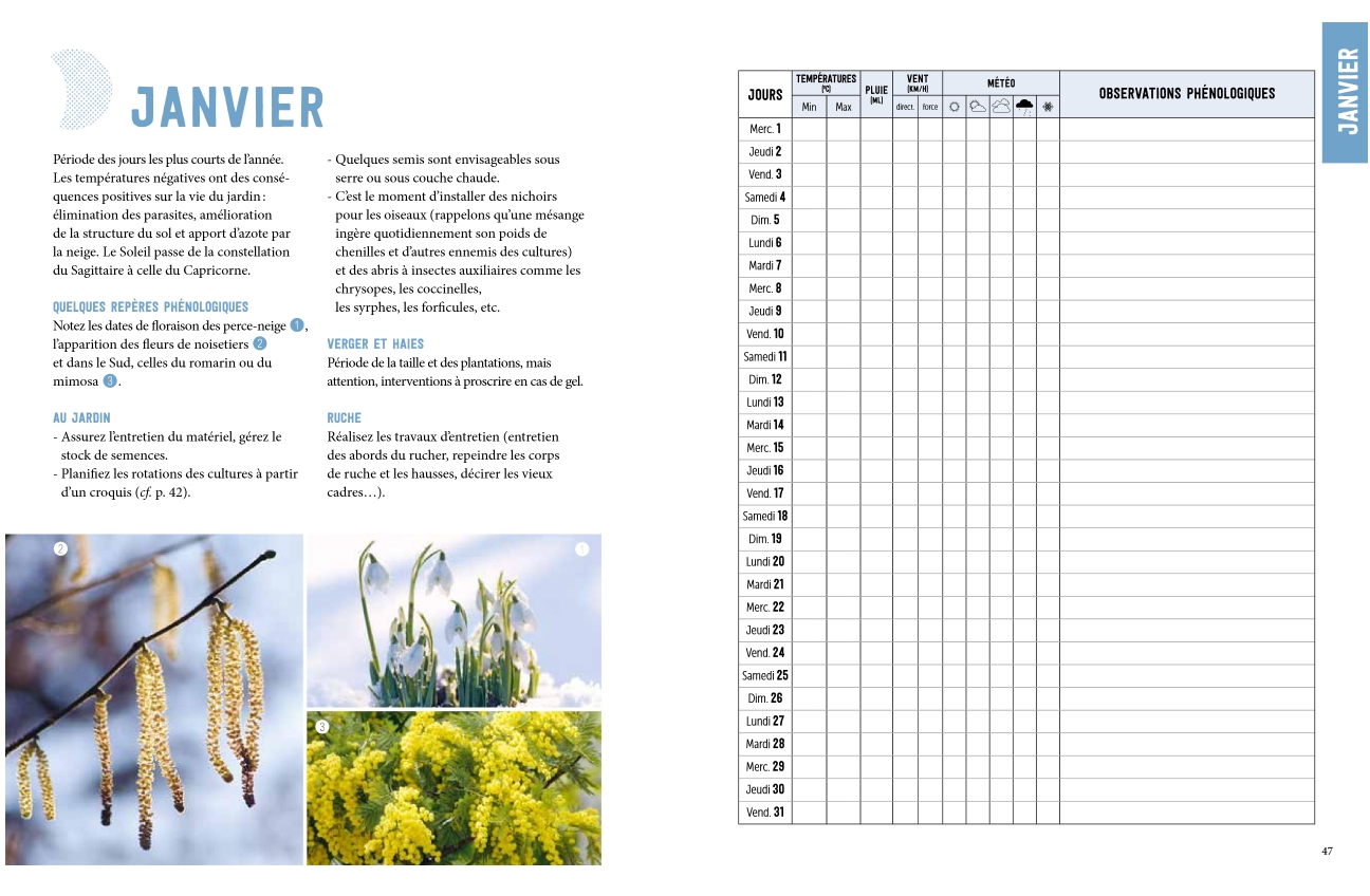 calendrier agenda ulmer janvier 2025