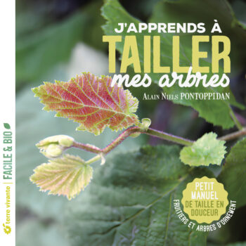 Taille - J'apprends à tailler mes arbre
