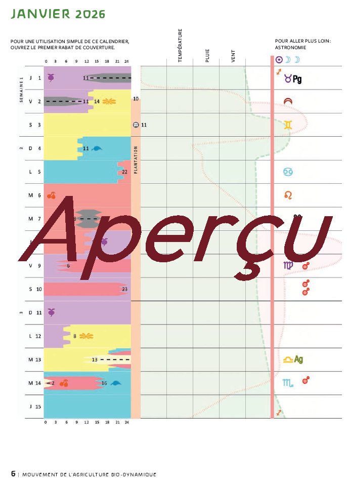 calendrier-2026-janvier-aperçu