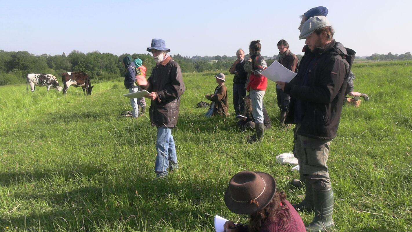 Un groupe en observation dans une prairie, autour d'un troupeau
