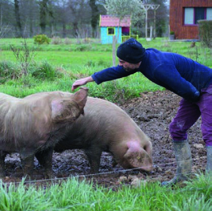 Un paysan accroupi caressant un porc Blanc de l'Ouest dans son parc
